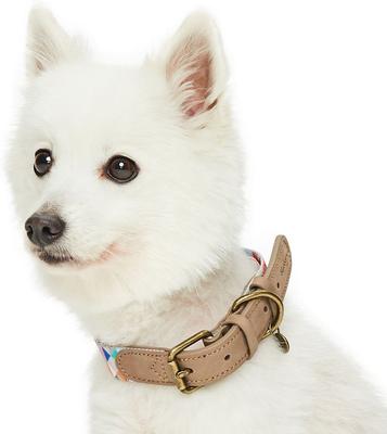 Show full view: Blueberry Pet Shades of Rainbow Triangles Polyester Fabric Webbing & Soft Genuine Leather Dog Collar, Multicolor, Large: 18 to 22-in neck, 1-in wide slide 3 of 6