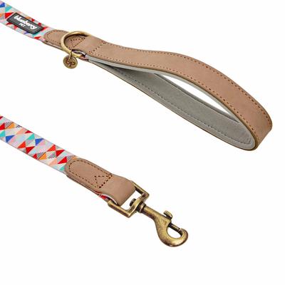 Show full view: Blueberry Pet Shades of Rainbow Triangles Polyester Fabric Webbing & Soft Genuine Leather Dog Leash, Multicolor, Large: 4-ft long, 1-in wide slide 2 of 3