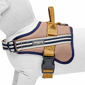 Blueberry Pet Soft & Comfy 3M Reflective Multi-Colored Stripe Mesh Padded Service Dog Harness, Olive/Blue/Gray, Large: 27 to 38.5-in chest