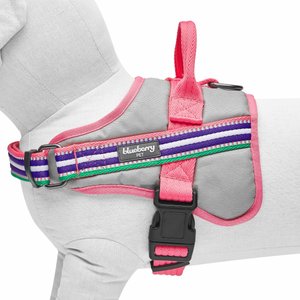 Blueberry Pet Soft & Comfy 3M Reflective Multi-Colored Stripe Mesh Padded Service Dog Harness, Pink/Emerald/Orchid, Large: 26.75 to 38.5-in chest