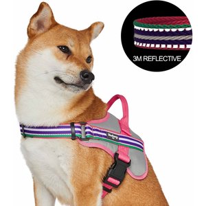 Blueberry Pet Soft & Comfy 3M Reflective Multi-Colored Stripe Mesh Padded Service Dog Harness, Pink/Emerald/Orchid, Large: 26.75 to 38.5-in chest