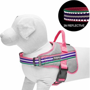 Blueberry Pet Soft & Comfy 3M Reflective Multi-Colored Stripe Mesh Padded Service Dog Harness, Pink/Emerald/Orchid, Large: 26.75 to 38.5-in chest