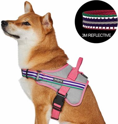 Show full view: Blueberry Pet Soft & Comfy 3M Reflective Multi-Colored Stripe Mesh Padded Service Dog Harness, Pink/Emerald/Orchid, Medium: 21.5 to 26.75-in chest slide 1 of 6