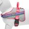 Show in main carousel: Blueberry Pet Soft & Comfy 3M Reflective Multi-Colored Stripe Mesh Padded Service Dog Harness, Pink/Emerald/Orchid, Medium: 21.5 to 26.75-in chest slide 4 of 6