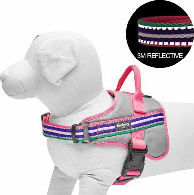 Show full view: Blueberry Pet Soft & Comfy 3M Reflective Multi-Colored Stripe Mesh Padded Service Dog Harness, Pink/Emerald/Orchid, Medium: 21.5 to 26.75-in chest slide 3 of 6