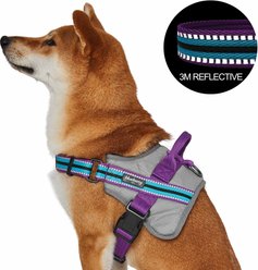 Blueberry Pet Soft & Comfy 3M Reflective Multi-Colored Stripe Mesh Padded Service Dog Harness, Violet/Celeste, Large: 27 to 38.5-in chest