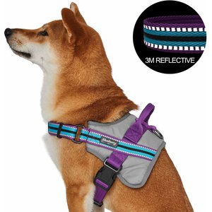 Blueberry Pet Soft & Comfy 3M Reflective Multi-Colored Stripe Mesh Padded Service Dog Harness, Violet/Celeste, Large: 27 to 38.5-in chest