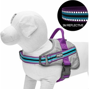 Blueberry Pet Soft & Comfy 3M Reflective Multi-Colored Stripe Mesh Padded Service Dog Harness, Violet/Celeste, Large: 27 to 38.5-in chest