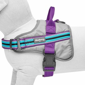 Blueberry Pet Soft & Comfy 3M Reflective Multi-Colored Stripe Mesh Padded Service Dog Harness, Violet/Celeste, Large: 27 to 38.5-in chest