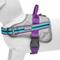 Show in main carousel: Blueberry Pet Soft & Comfy 3M Reflective Multi-Colored Stripe Mesh Padded Service Dog Harness, Violet/Celeste, Large: 27 to 38.5-in chest slide 4 of 6