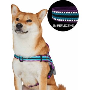 Blueberry Pet Soft & Comfy 3M Reflective Multi-Colored Stripe Mesh Padded Service Dog Harness, Violet/Celeste, Large: 27 to 38.5-in chest