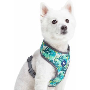 Blueberry Pet Soft & Comfy Bahamas Vacation Dog Harness Vest, Bahamas Vacation, Medium: 19.5 to 26-in chest