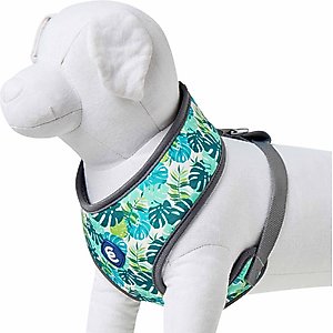 Blueberry Pet Soft & Comfy Bahamas Vacation Dog Harness Vest, Bahamas Vacation, Medium: 19.5 to 26-in chest