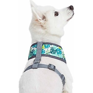 Blueberry Pet Soft & Comfy Bahamas Vacation Dog Harness Vest, Bahamas Vacation, Medium: 19.5 to 26-in chest