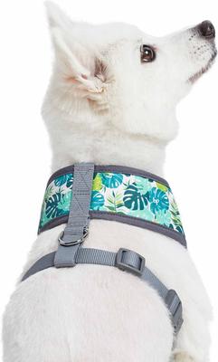 Show full view: Blueberry Pet Soft & Comfy Bahamas Vacation Dog Harness Vest, Bahamas Vacation, Medium: 19.5 to 26-in chest slide 3 of 8