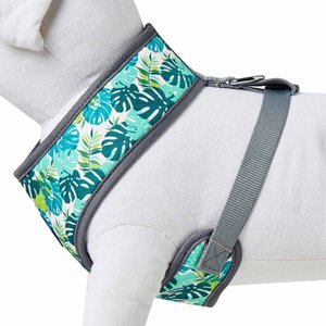 Blueberry Pet Soft & Comfy Bahamas Vacation Dog Harness Vest, Bahamas Vacation, Medium: 19.5 to 26-in chest