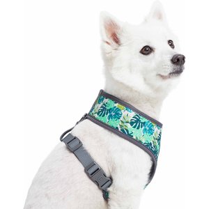 Blueberry Pet Soft & Comfy Bahamas Vacation Dog Harness Vest, Bahamas Vacation, Medium: 19.5 to 26-in chest