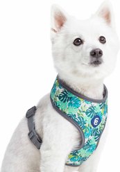 Blueberry Pet Soft & Comfy Bahamas Vacation Dog Harness Vest, Bahamas Vacation, Small: 16 to 21-in chest