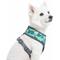 Show in main carousel: Blueberry Pet Soft & Comfy Bahamas Vacation Dog Harness Vest, Bahamas Vacation, Small: 16 to 21-in chest slide 2 of 8