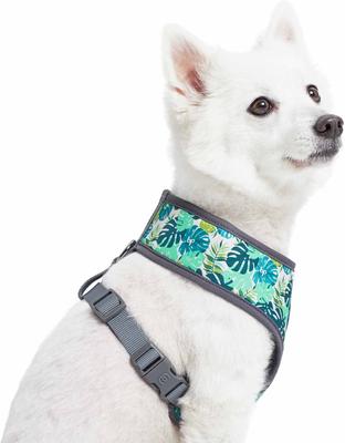 Show full view: Blueberry Pet Soft & Comfy Bahamas Vacation Dog Harness Vest, Bahamas Vacation, Small: 16 to 21-in chest slide 2 of 8