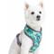 Show in main carousel: Blueberry Pet Soft & Comfy Bahamas Vacation Dog Harness Vest, Bahamas Vacation, X-Small: 13 to 16-in chest slide 1 of 8