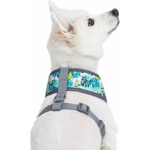 Blueberry Pet Soft & Comfy Bahamas Vacation Dog Harness Vest, Bahamas Vacation, X-Small: 13 to 16-in chest