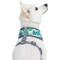 Show in main carousel: Blueberry Pet Soft & Comfy Bahamas Vacation Dog Harness Vest, Bahamas Vacation, X-Small: 13 to 16-in chest slide 3 of 8