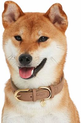 Show full view: Blueberry Pet Soft & Comfy Genuine Leather Adjustable Dog Collar, Beige, Small: 12 to 15-in neck, 3/4-in wide slide 4 of 7