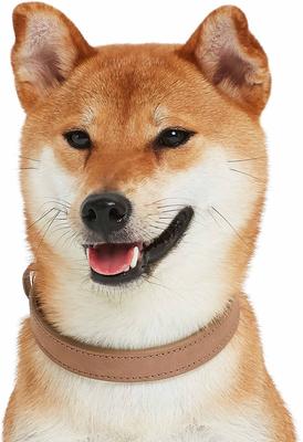 Show full view: Blueberry Pet Soft & Comfy Genuine Leather Adjustable Dog Collar, Beige, Small: 12 to 15-in neck, 3/4-in wide slide 5 of 7