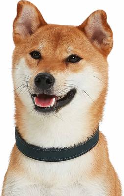 Show full view: Blueberry Pet Soft & Comfy Genuine Leather Adjustable Dog Collar, Navy Blue, Small: 12 to 15-in neck, 3/4-in wide slide 5 of 7