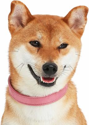 Show full view: Blueberry Pet Soft & Comfy Genuine Leather Adjustable Dog Collar, Pink, Small: 12 to 15-in neck, 3/4-in wide slide 5 of 8