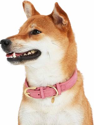 Show full view: Blueberry Pet Soft & Comfy Genuine Leather Adjustable Dog Collar, Pink, Small: 12 to 15-in neck, 3/4-in wide slide 4 of 8