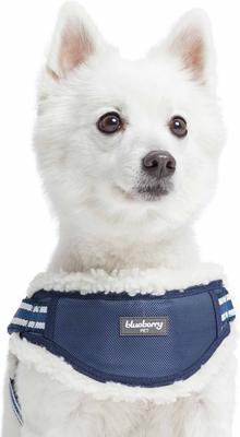 Show full view: Blueberry Pet Soft & Comfy Multi Color Stripe Fleece Padded Chest Dog Harness, Blue, Small: 16.5 to 21-in chest slide 1 of 9