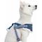 Show in main carousel: Blueberry Pet Soft & Comfy Multi Color Stripe Fleece Padded Chest Dog Harness, Blue, Small: 16.5 to 21-in chest slide 3 of 9