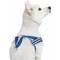 Show in main carousel: Blueberry Pet Soft & Comfy Multi Color Stripe Fleece Padded Chest Dog Harness, Blue, Small: 16.5 to 21-in chest slide 4 of 9