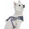Show in main carousel: Blueberry Pet Soft & Comfy Multi Color Stripe Fleece Padded Chest Dog Harness, Grey, Large: 30 to 38.5-in chest slide 3 of 9