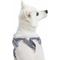 Show in main carousel: Blueberry Pet Soft & Comfy Multi Color Stripe Fleece Padded Chest Dog Harness, Grey, Large: 30 to 38.5-in chest slide 4 of 9