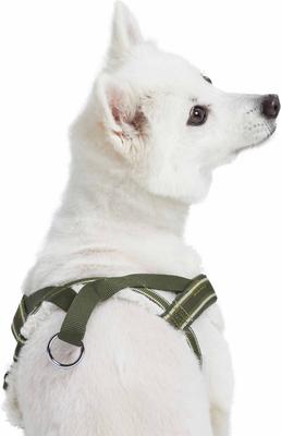 Show full view: Blueberry Pet Soft & Comfy Multi Color Stripe Fleece Padded Chest Dog Harness, Olive Green, Large: 30 to 38.5-in chest slide 3 of 8