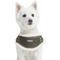 Show in main carousel: Blueberry Pet Soft & Comfy Multi Color Stripe Fleece Padded Chest Dog Harness, Olive Green, Medium: 20.5 to 26-in chest slide 1 of 8