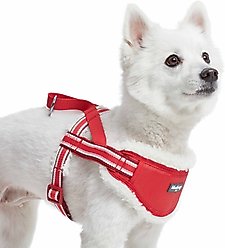 Blueberry Pet Soft & Comfy Multi Color Stripe Fleece Padded Chest Dog Harness, Red, Medium: 20.5 to 26-in chest