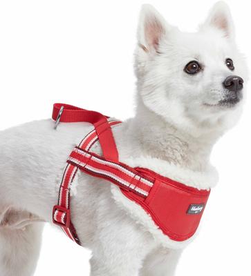 Show full view: Blueberry Pet Soft & Comfy Multi Color Stripe Fleece Padded Chest Dog Harness, Red, Small: 16.5 to 21-in chest slide 1 of 8