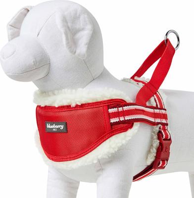 Show full view: Blueberry Pet Soft & Comfy Multi Color Stripe Fleece Padded Chest Dog Harness, Red, Small: 16.5 to 21-in chest slide 4 of 8
