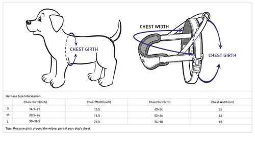 Show full view: Blueberry Pet Soft & Comfy Multi Color Stripe Fleece Padded Chest Dog Harness, Red, Small: 16.5 to 21-in chest slide 7 of 8