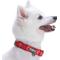 Show in main carousel: Blueberry Pet Soft & Comfy Padded Polyester Dog Collar, Aileen Red, Small: 12 to 16-in neck, 5/8-in wide slide 3 of 10