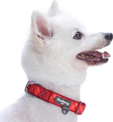 Show full view: Blueberry Pet Soft & Comfy Padded Polyester Dog Collar, Aileen Red, Small: 12 to 16-in neck, 5/8-in wide slide 3 of 10