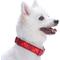 Show in main carousel: Blueberry Pet Soft & Comfy Padded Polyester Dog Collar, Aileen Red, Small: 12 to 16-in neck, 5/8-in wide slide 4 of 10