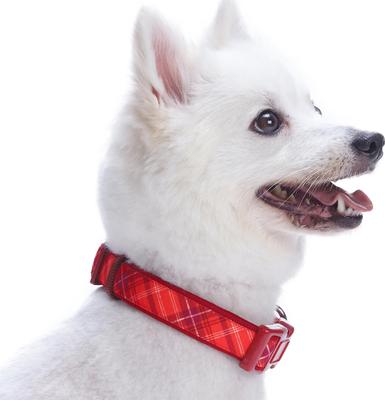 Show full view: Blueberry Pet Soft & Comfy Padded Polyester Dog Collar, Aileen Red, Small: 12 to 16-in neck, 5/8-in wide slide 4 of 10