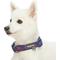 Show in main carousel: Blueberry Pet Soft & Comfy Padded Polyester Dog Collar, Navy Blue & Red Plaid, Medium: 14.5 to 20-in neck, 3/4-in wide slide 4 of 10