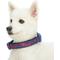 Show in main carousel: Blueberry Pet Soft & Comfy Padded Polyester Dog Collar, Navy Blue & Red Plaid, Medium: 14.5 to 20-in neck, 3/4-in wide slide 5 of 10