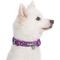 Show in main carousel: Blueberry Pet Soft & Comfy Padded Polyester Dog Collar, Plum Purple, Large: 18 to 26-in neck, 1-in wide slide 3 of 10